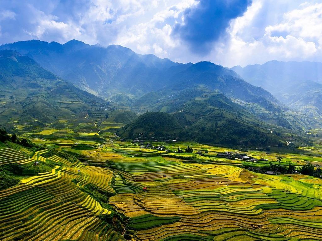 Weitläufige Reisfelder in Vietnam, die sich terrassenförmig in die Landschaft einfügen