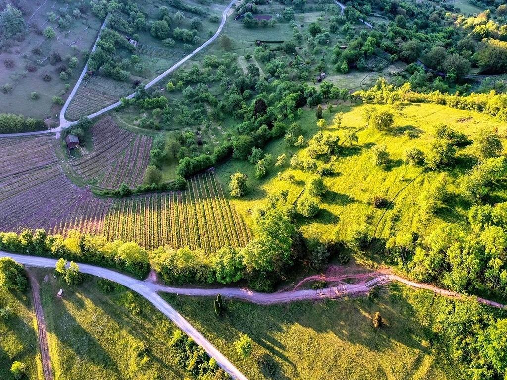 Landschaft des Jakobswegs aus der Vogelperspektive mit einem Teil des Pilgerwegs, umgeben von grünen Feldern und sanften Hügeln.