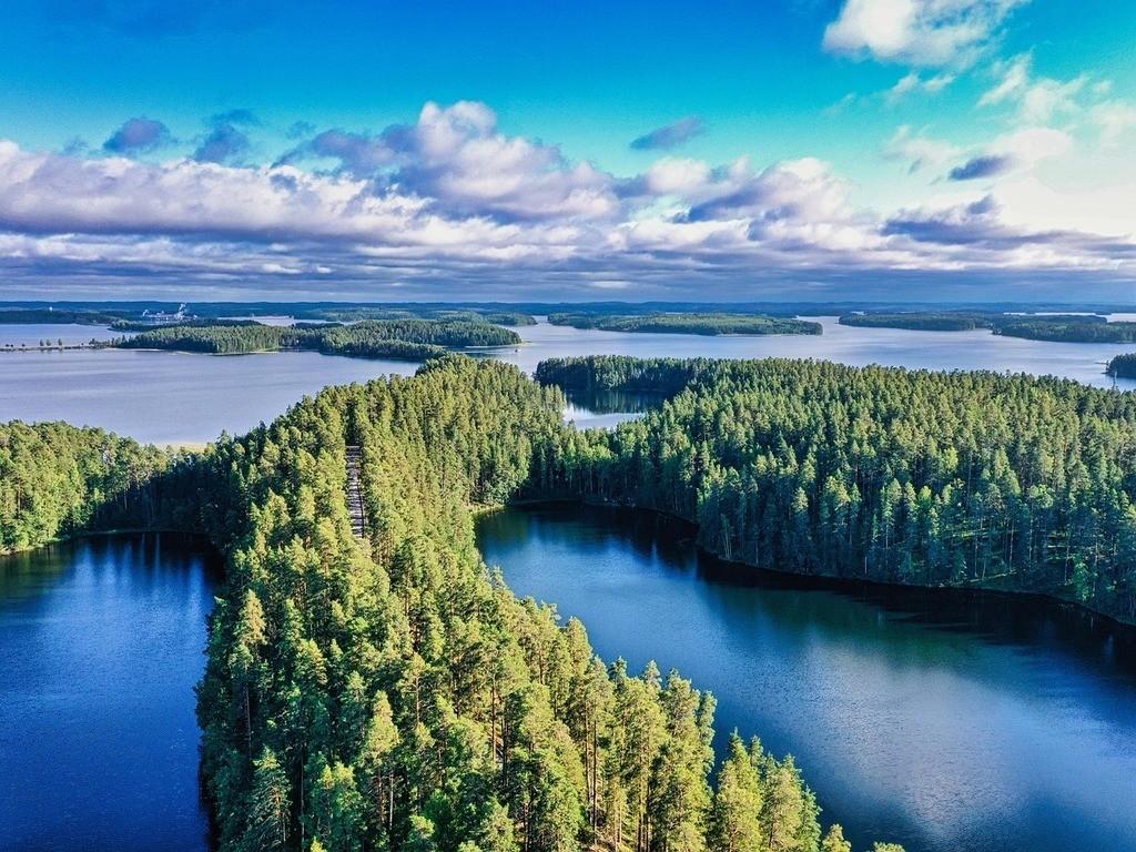 Finnischer See umgeben von dichtem Wald in einer sonnigen Landschaft.