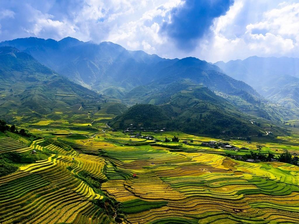 Terrassenförmig angelegte Reisfelder an grünen Hügeln in Vietnam.
